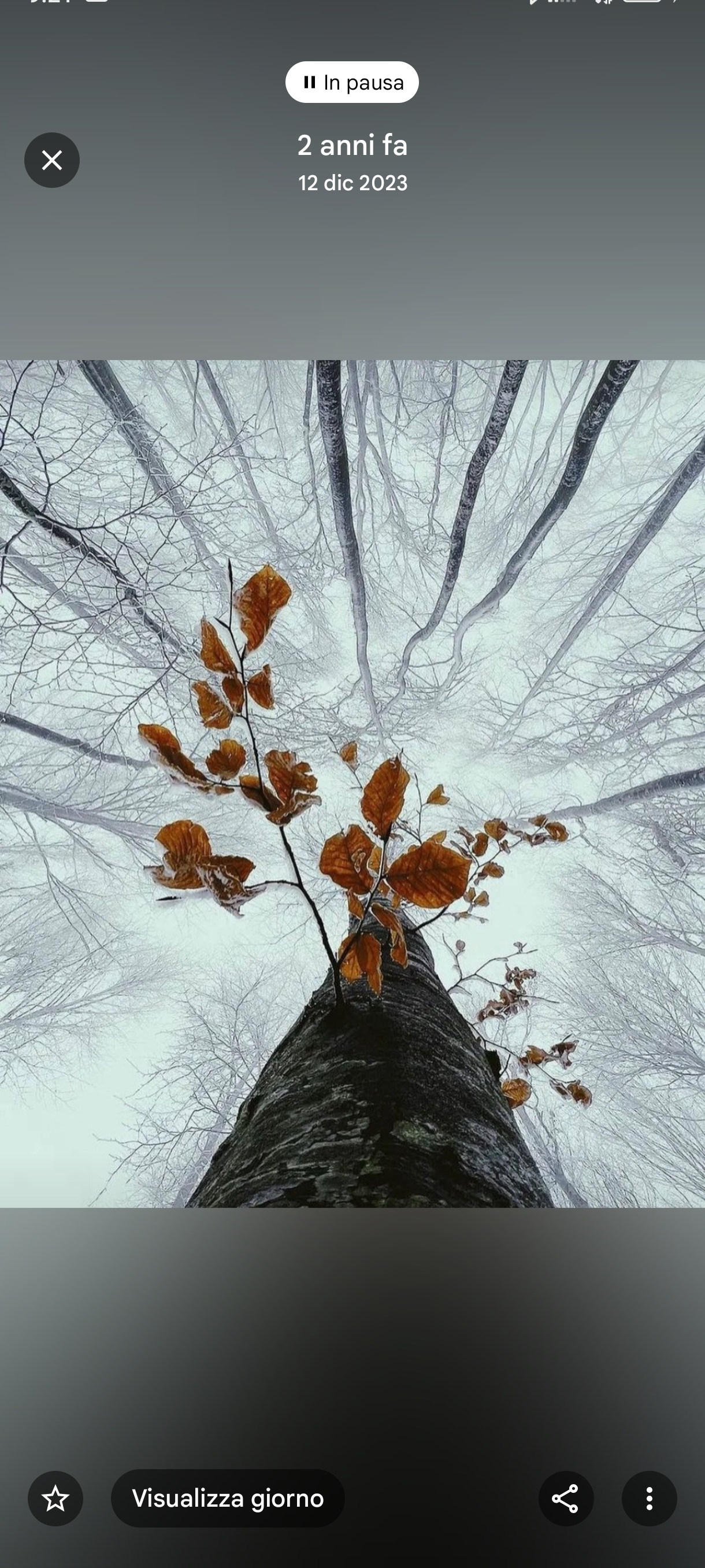 Lasciate il numero di telefono i primi 10 verranno