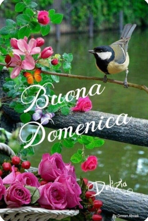 Cartomanzia 344/4657391 prezzo speciale 