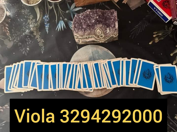 Una domanda gratuita con viola al 329429200