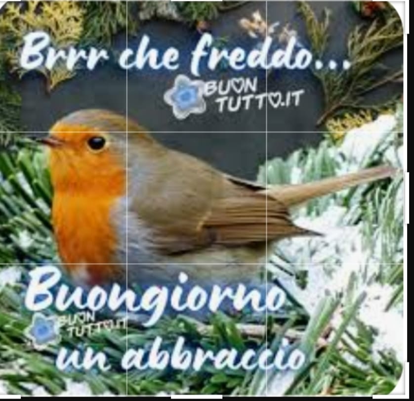 Cartomanzia 344/4657391 prezzo speciale 