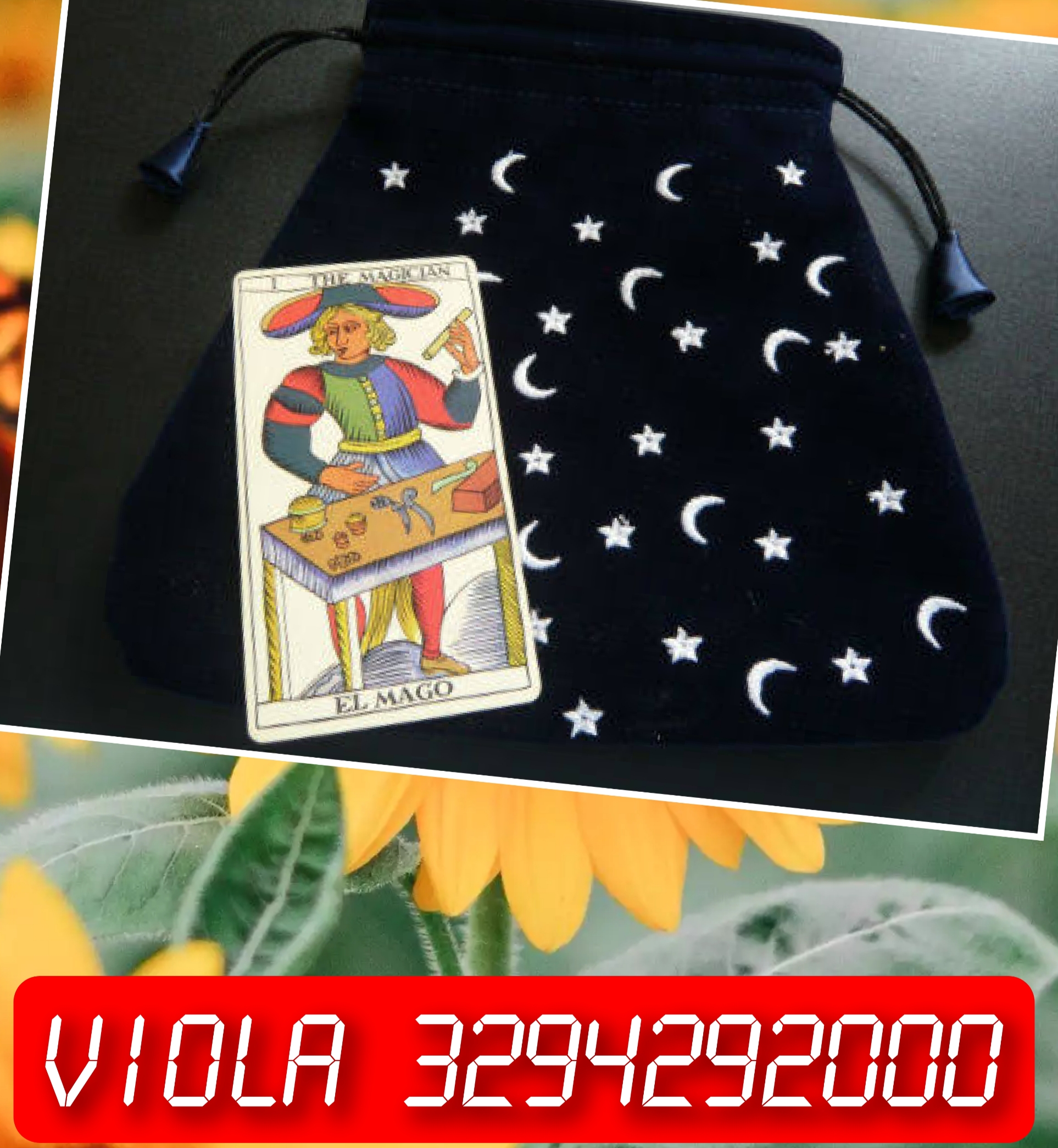 Una domanda gratis con viola al 3294292000