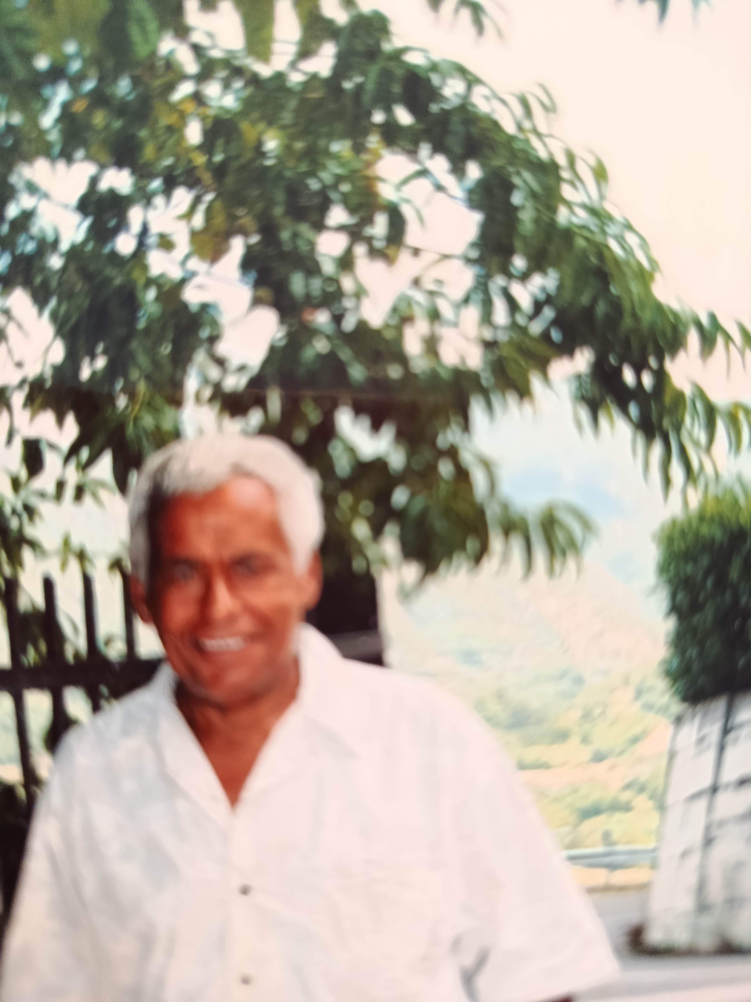 Parma aron gughi consultami 