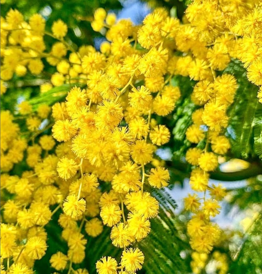 Offro consulti di cartomanzia a basso costo/offert