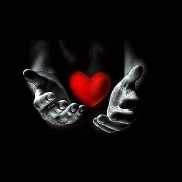 Bruno la magia dell'amore gratis 