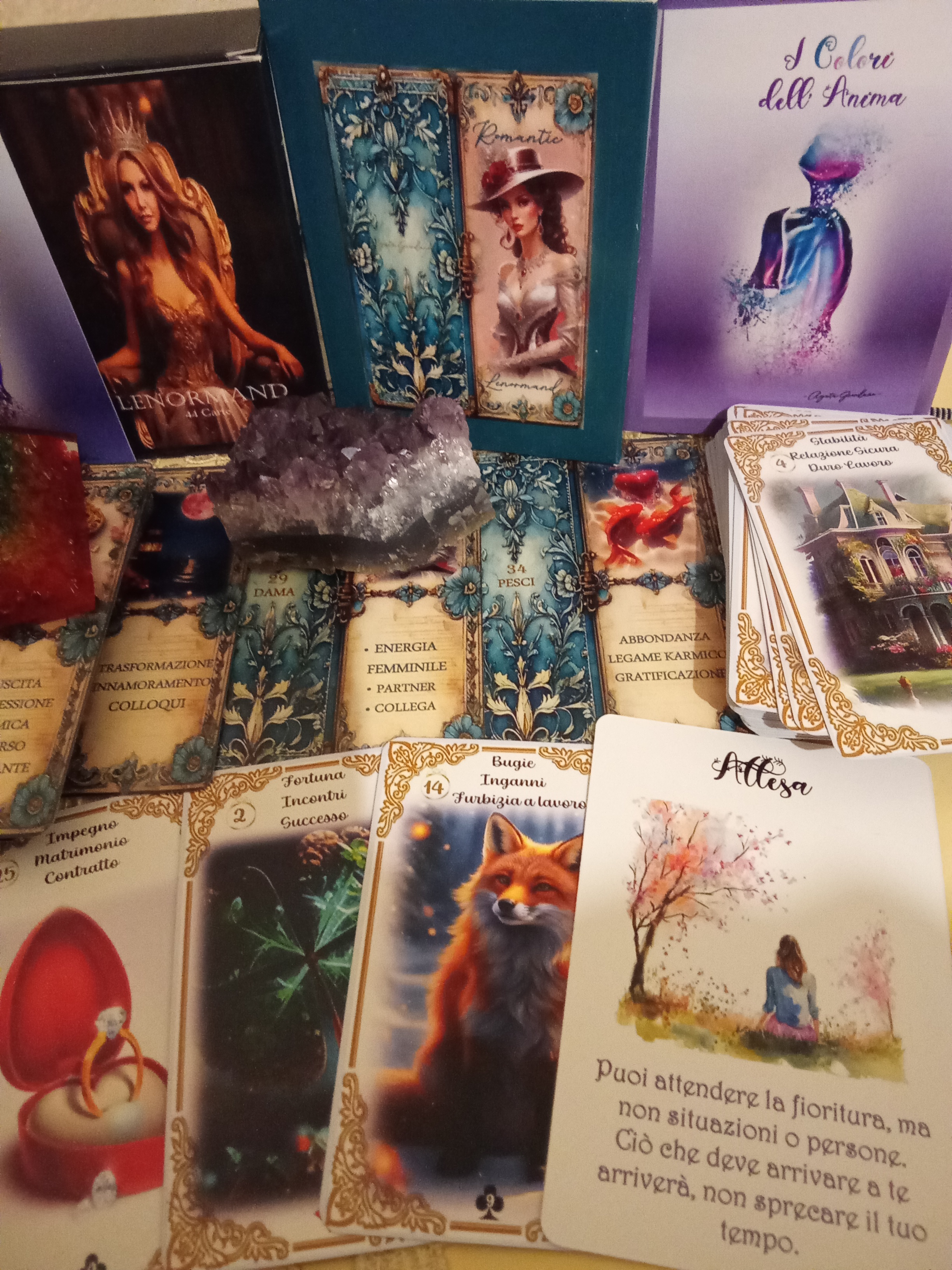 Attenzione offro domanda conoscitiva ‼️