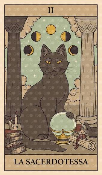 Tre domande via whatsapp 