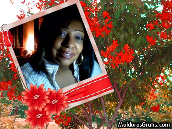 Brasiliana sensitiva cartomante..daisy 3488430460