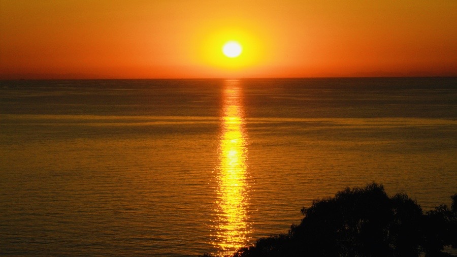 Dopo le 18.00 domanda gratuita con adam