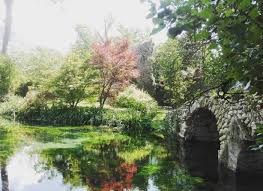 Importante centro cartomanzia cerca cartomanti 