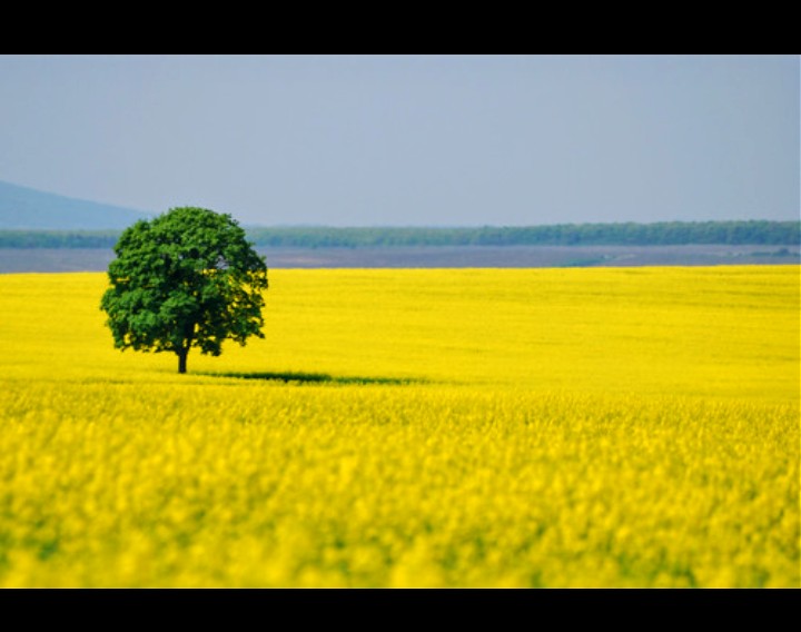 Consulto approfondito a 20€ per un'ora