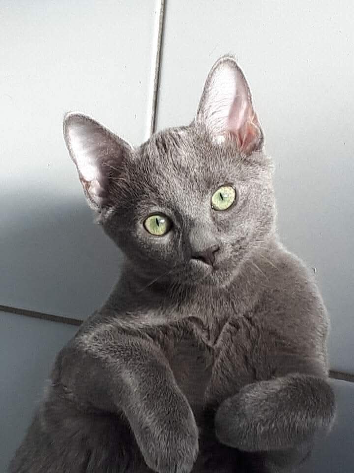 SerenitÀ nello spirito