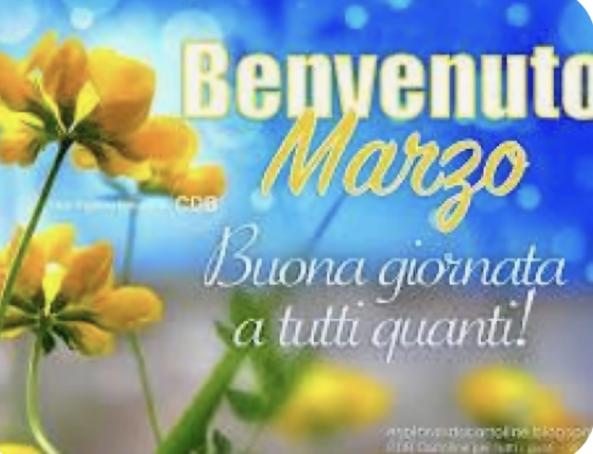 Cartomanzia 344/4657391 prezzo speciale 