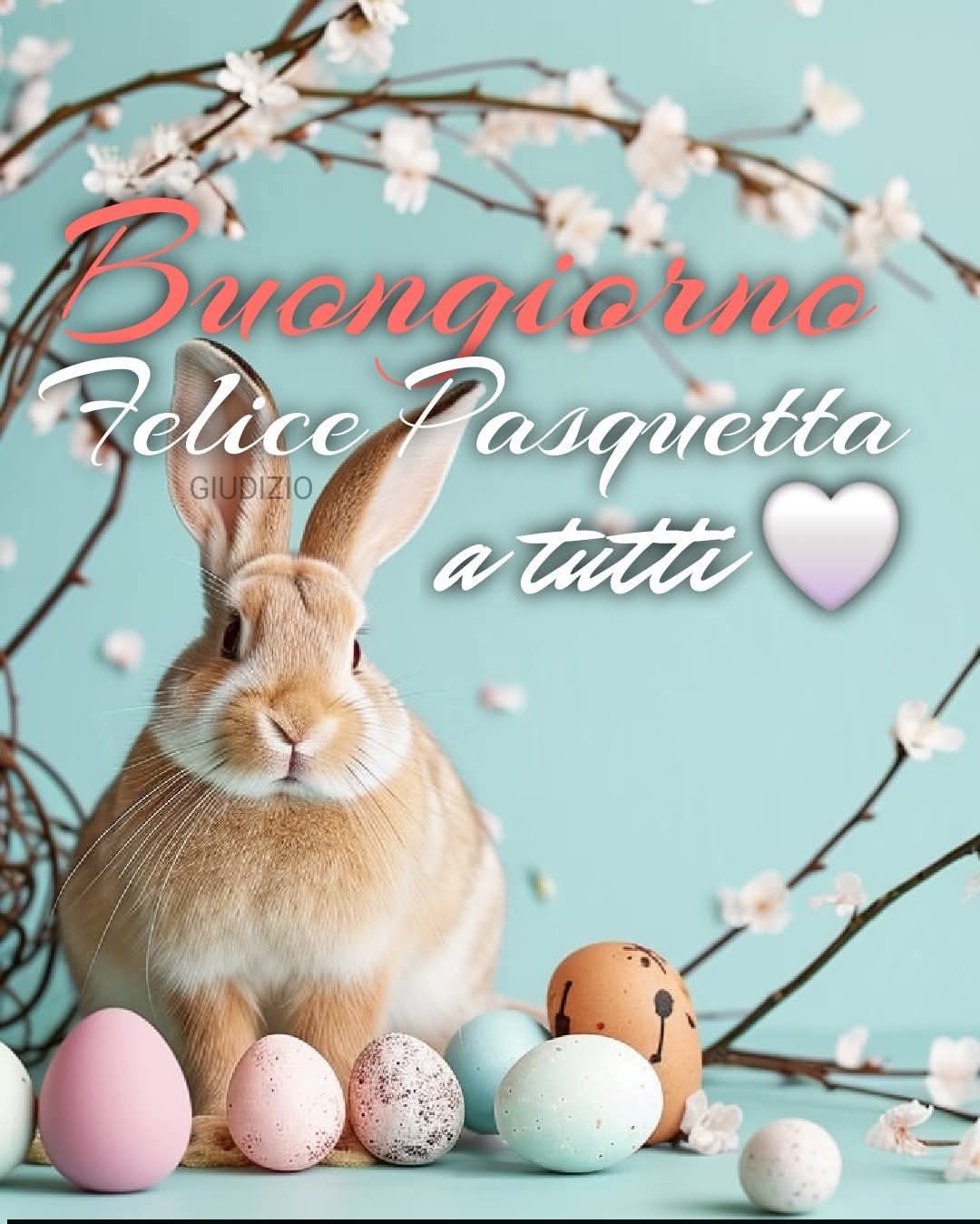 Prima domanda gratuita  3757211343