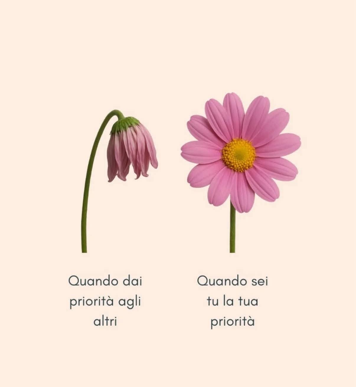 Cartomante sensitiva ritualista dea venere 