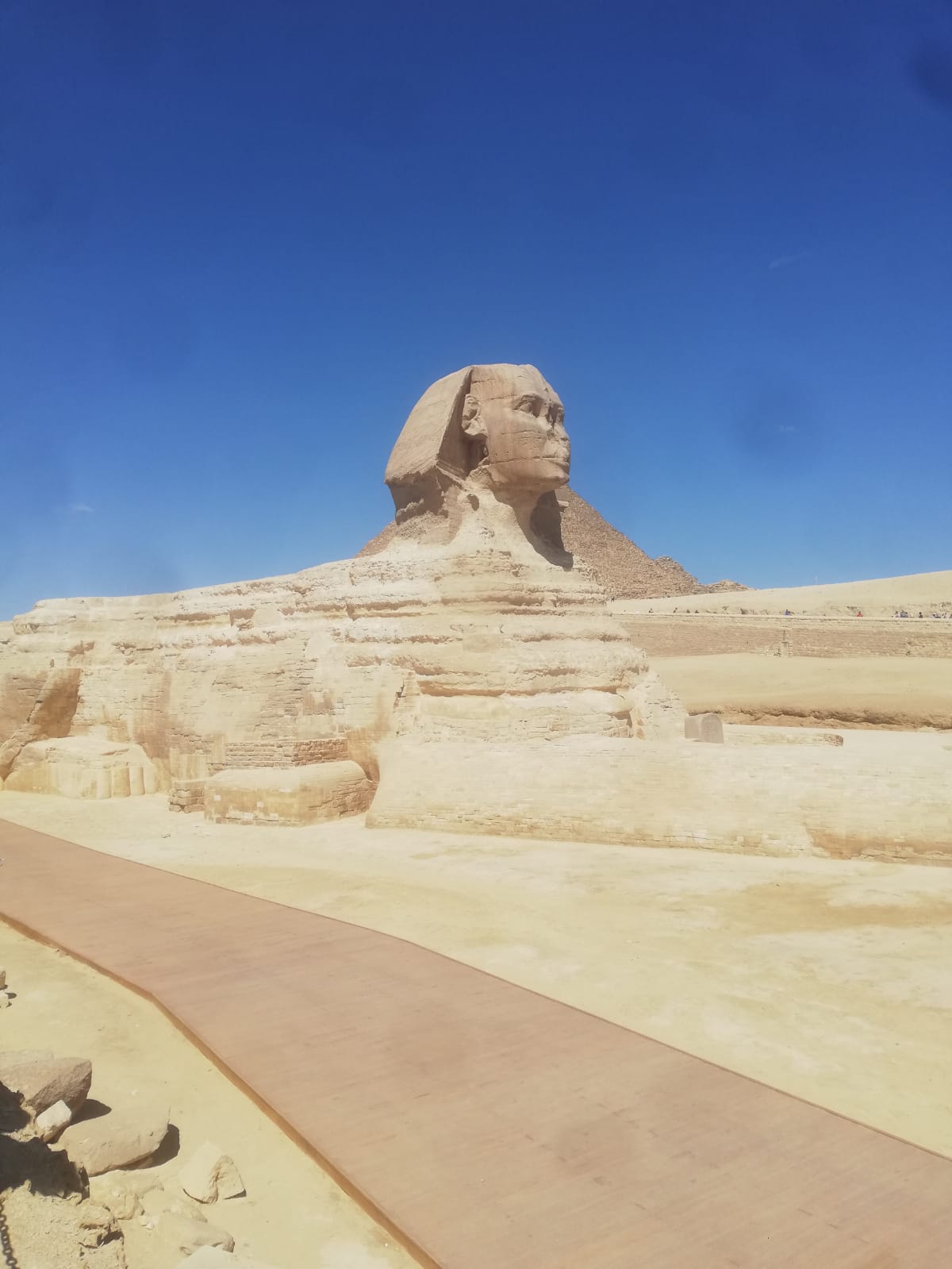 Prima domanda gratuita  3757211343