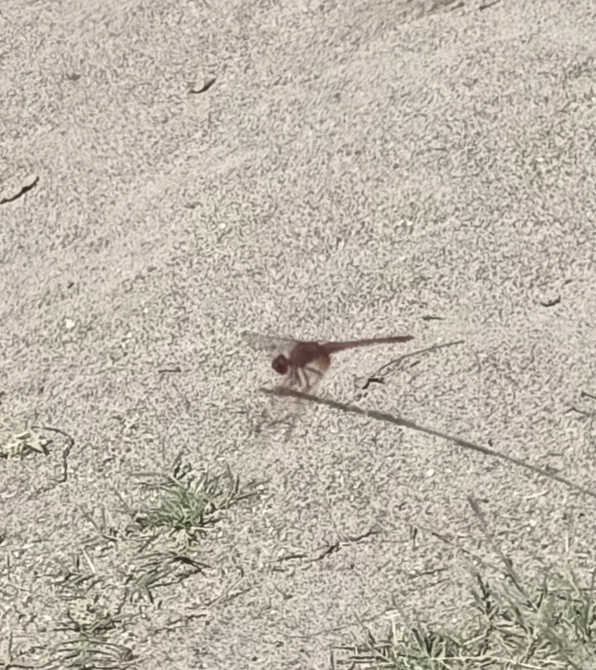 Conoscersi per fidarsi offro gratuita 