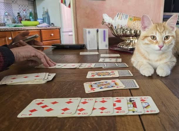 Ritorni di amore a napoli 