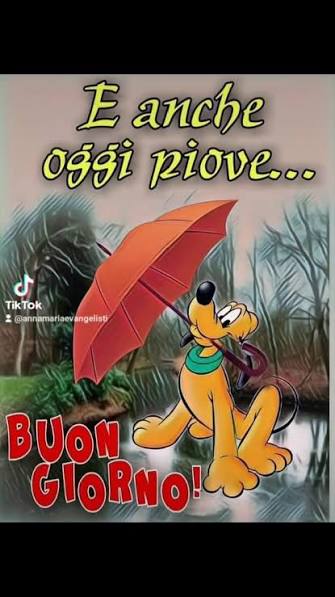 Prima domanda gratuita  su whatsapp 3757211343