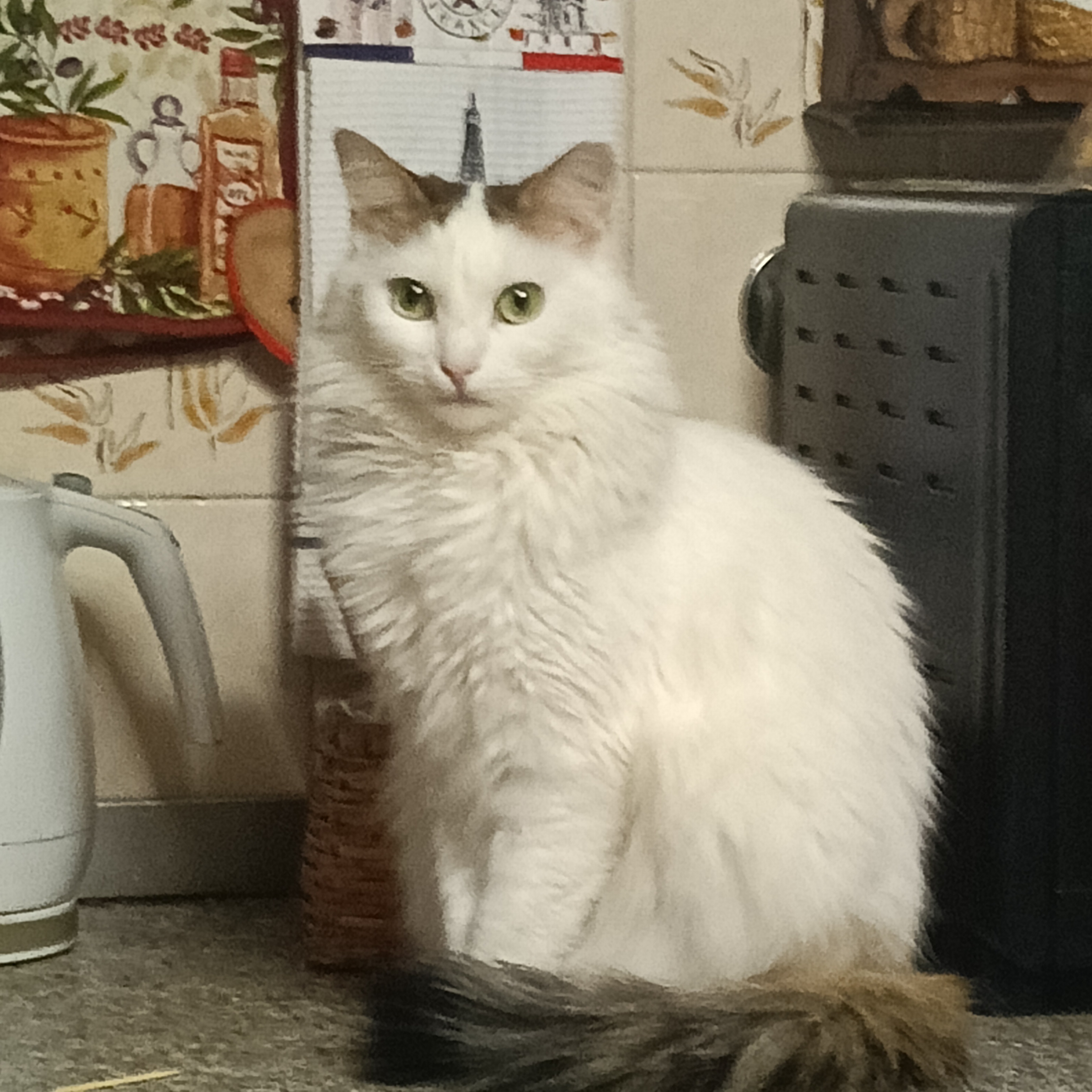 Maria&sarah cartomante e ritualista 