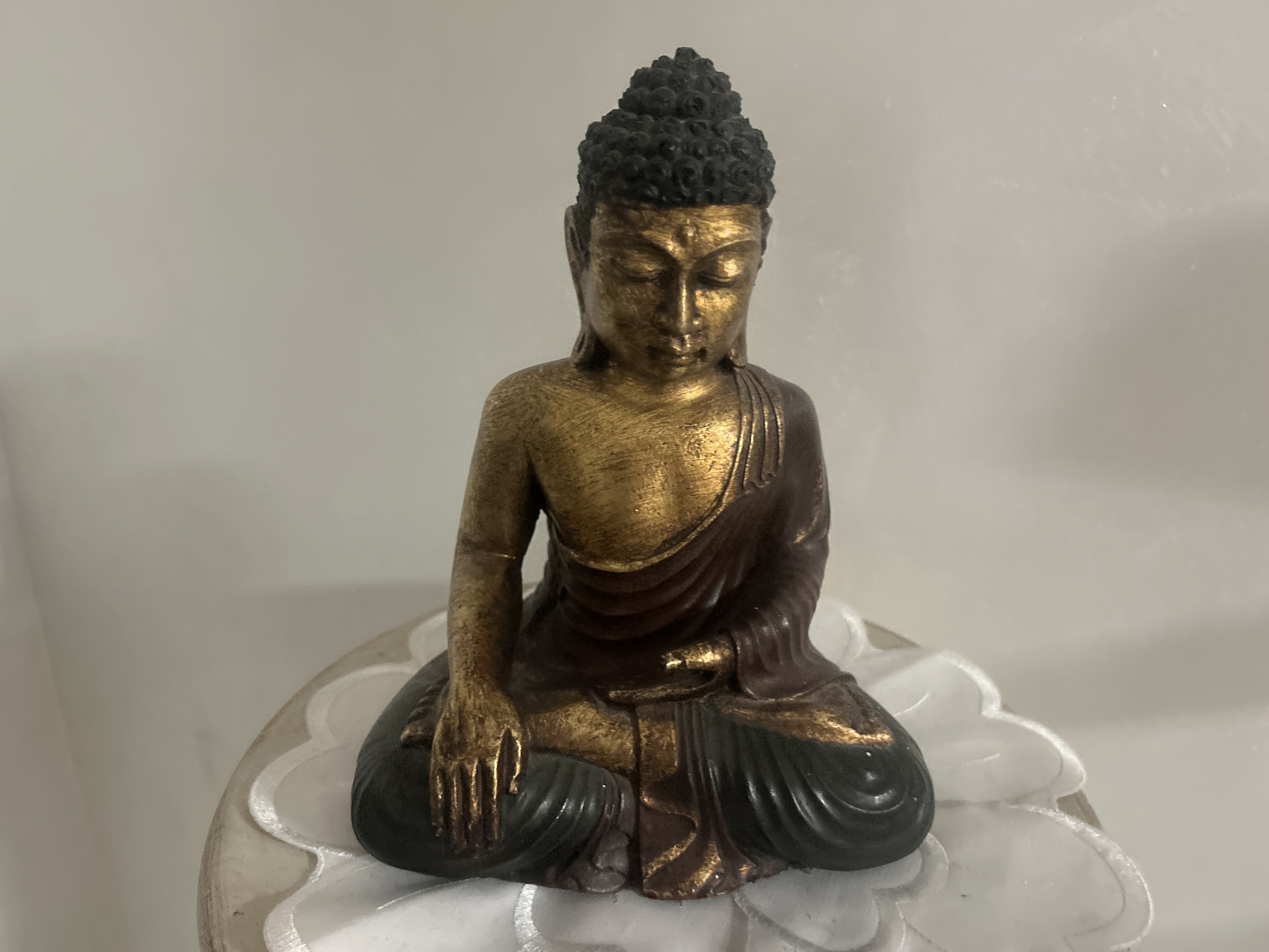 Consulto personalizzato 