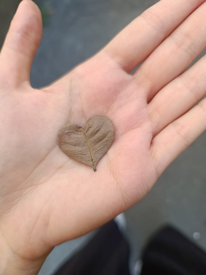 Il mago dell'amore gratis