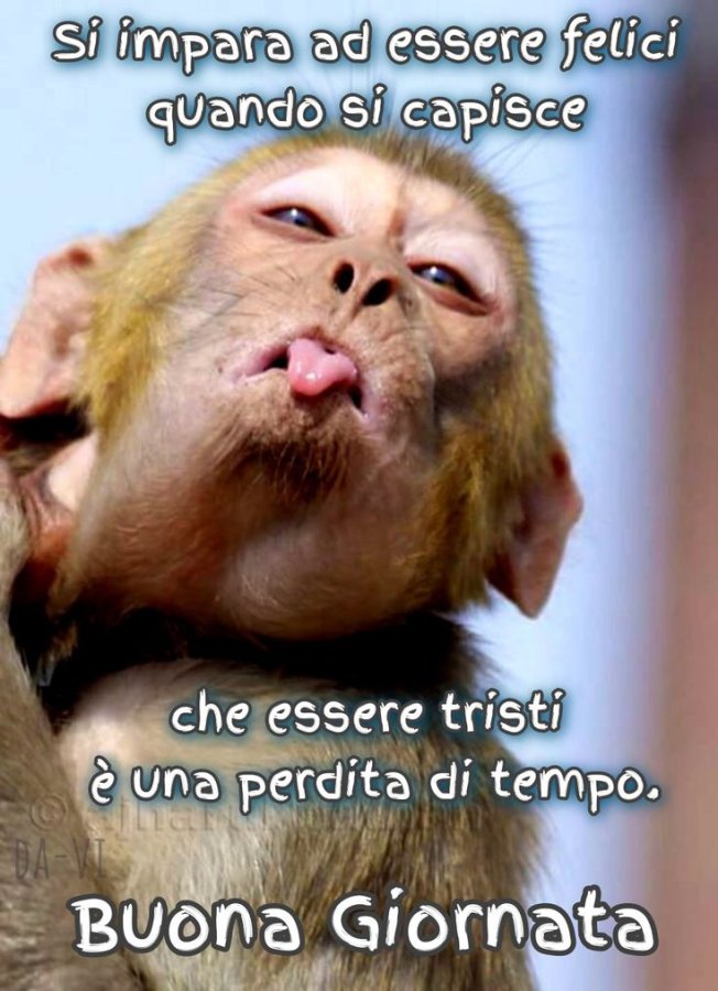 Chiama gratis il cartomante