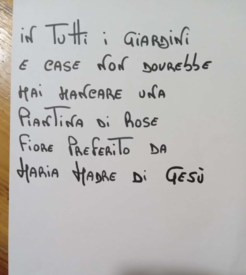Josephine ti fa un consulto gratis