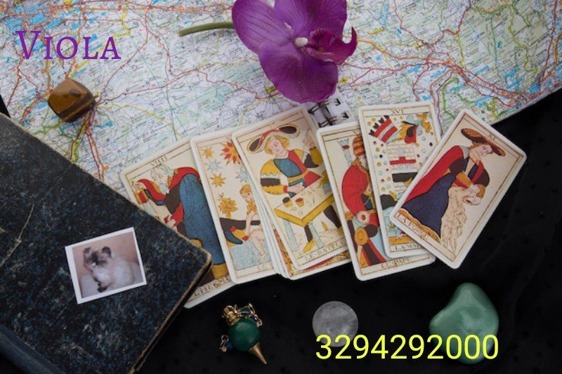 Una domanda gratis  con  Viola Al 3294292000