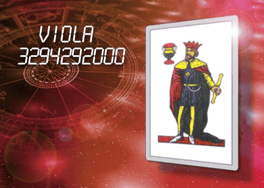 Prova gratis una domanda al 3294292000